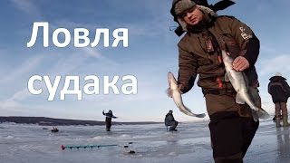 Ловля судака со льда. Балансир, блесна.
