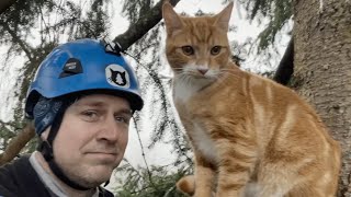 These two men have saved 4,000 cats from trees