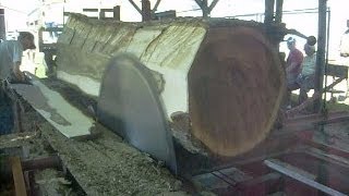 Steam Powered 1800s Circular Sawmill Sawing Huge 36" Walnut log into 20 inch wide 5/4 boards