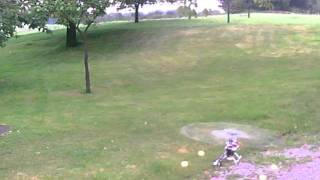 T-Rex 450 Pro 3GX V2 hover2