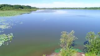 Полеты над озером лотосов Хабаровск Phantom DJI 4 pro часть 2