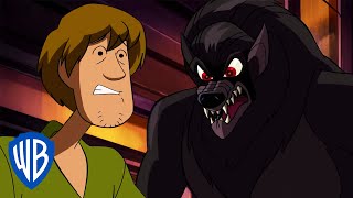 Scooby-Doo! en Français | Quand je dis "cours"... ????