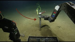 Set It and Forget It: Deploying Long-Term Seismic Monitoring Instruments | Nautilus Live