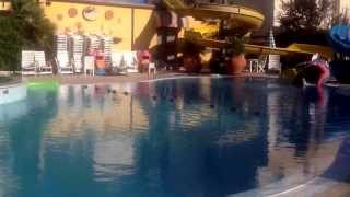 Piscina hotel azzurra venerdì 13 settembre 2 giorni alla chiusura