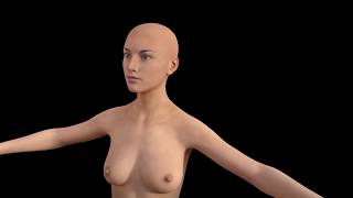 First breast simulation