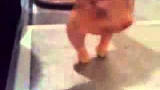 хоси юртар котам