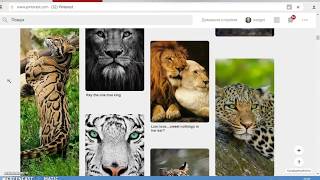 обзор сайта pinterest com