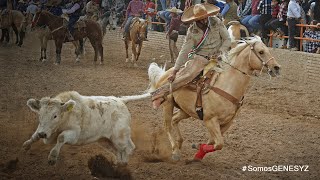 TRADICIONAL COLEADERO EN LA MANCHA, VILLA DE COS, ZAC. Lienzo Charro "La Amistad"
