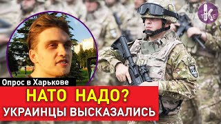Украина в НАТО. Реальность или абсурд? Опрос в Харькове
