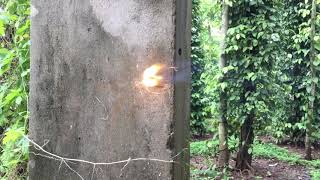 Làm pháo từ pháo bông cây