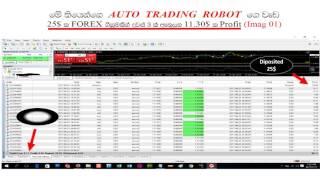 Forex Auto Trading Robot 2017 - sinhala