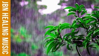 Nhạc thư giãn trị liệu - Nhạc không lời sâu lắng với âm thanh của mưa giông giúp tắm mát tâm hồn
