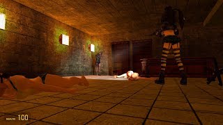 inspection in metro(GMOD RYONA)