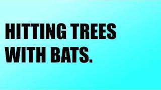 Official Trailer: HITTING TREES WITH BATS