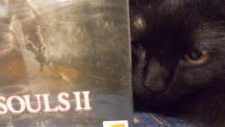 Dark Souls 2 Без Смертей в Чемпионе Часть 2