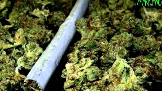 Mary Jane - 24/7 Crew ft. Mdfk Crew - Sabotaje Independiente