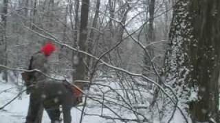3 Squirrel Day with How 2 Cook