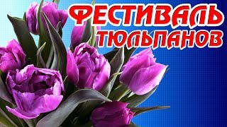 Санкт-Петербург Фестиваль тюльпанов 2019