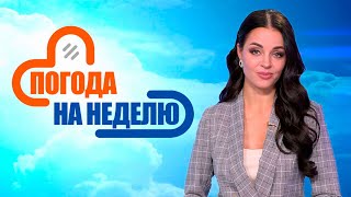 Солнечный конец октября! До +11 и сильный ветер | Погода в Беларуси с 22 по 27 октября | Плюс-минус