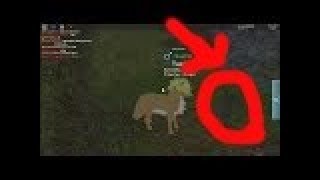 Wolves' Life 3 Roblox Shyfoox Studios Black Flower!