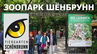 ? Зоопарк Шёнбрунн, Вена, Австрия, 4K UHD