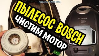Пылесос BOSCH BGL452125 - Ремонт (Нет Тяги) Калининград