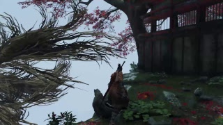 Sekiro:Shadows die twice. Наикрасивейший босс!