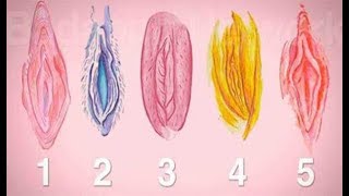 Interesting and Weird Vagina Facts | Vaginal Shapes & Sizes | Vaginal Sexism | Vagina Dispatches |