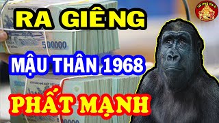 Cả Đời Tích Đức Đầu Năm 2023 Mậu Thân 1968 Chắc Chắn Phát Tài, Giàu Sang Đổi Vận