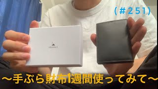 ミニマリストしぶさん監修 手ぶら財布を1週間使ってみての感想 (#か251)