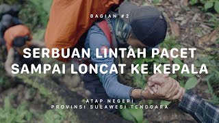 GUNUNG MEKONGGA - Atap Negeri Sulawesi Tenggara #2