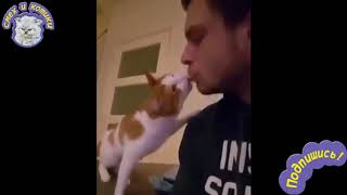 Кот Целует Хозяина | МИЛОТА !!!