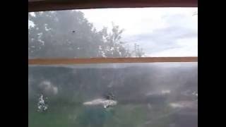 Пчеловодство. Палатка для осмотра пчёл