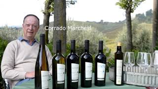 TENUTA LA TORRETTA