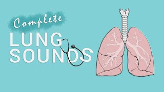 Lung sounds - Breath sounds Types & Causes