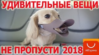 16 ВЕЩЕЙ с АЛИЭКСПРЕСС, КОТОРЫЕ ВЫ ОБЯЗАТЕЛЬНО КУПИТЕ. САМЫЕ НЕВЕРОЯТНЫЕ ЦЕНЫ!