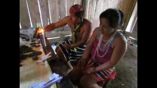 Tsachila Shaman cleansing ceremony