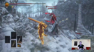 Archie 1: 4 Player Co Op in Dark Souls 3