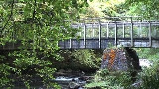 Clare Glen Tandragee Co. Armagh