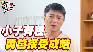 《多情大爆爆》多情城市 EP206 小子有種 勇爸接受成皓