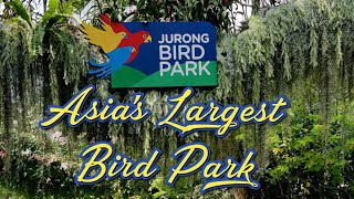 Asia's Largest Bird Park| Jurong Bird Park Singapore| Best Of Singapore | Singapore 2020