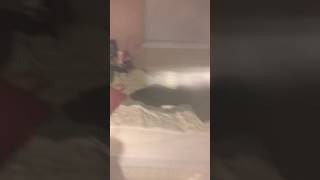 Sleeping mom