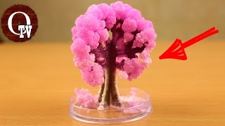 ВЫРАСТИЛ ИСКУССТВЕННОЕ ДЕРЕВО... Magic Sakura... OdinochkaTV