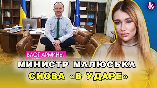 Министр Малюська взял на работу пожизненно заключенную - #282 Влог Армины