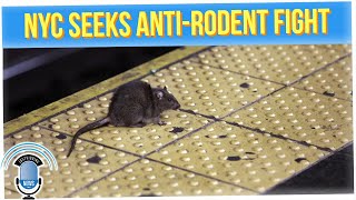 NYC Really Needs Help in the Fight Against Rats