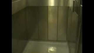 Pee (Urine) In The Lift - Colne House, Barking, Essex, IG11