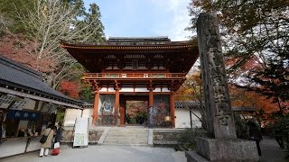 旅の星 Tabinohoshi 「室生寺紅葉と宇陀の秋旅」 Uda, Japan vol.22