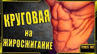 Лучшая жиросжигающая тренировка для мужчин