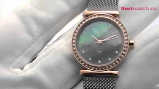Обзор женских часов Skagen Mesh Classic 108SRM