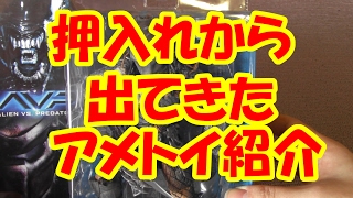 【アメトイ】押入れから発掘されたアメトイ紹介！